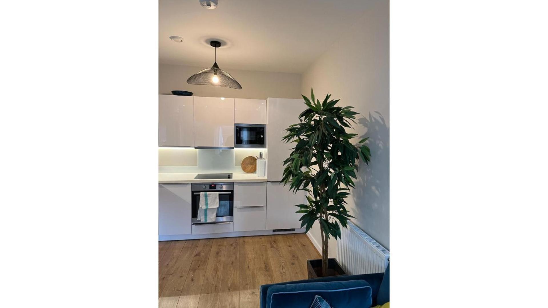 Fantastic Modern 2 Bedroom Flat In Lambeth Londra Dış mekan fotoğraf